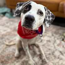 Thumbnail photo of Fire Marshal Bill will set your heart on fire #3