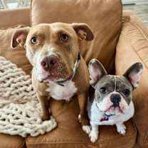 Thumbnail photo of Blinky Baby loves the babies and belly rubs #1