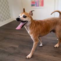 Thumbnail photo of Patrick Swayze #4