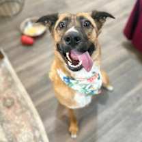 Thumbnail photo of Violet Elise Tripod Princess #1