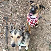 Thumbnail photo of Violet Elise Tripod Princess #3