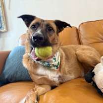 Thumbnail photo of Violet Elise Tripod Princess #4