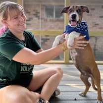 Thumbnail photo of George the goodest boy  Presidential #4