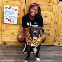 Thumbnail photo of Tango the kissy dancer #2