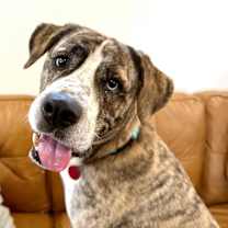 Thumbnail photo of Edmund Duke is so handsome and gentle! #1