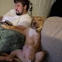 Thumbnail photo of Hulk Honey #3