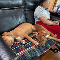 Thumbnail photo of Hulk Honey #4