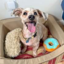 Thumbnail photo of Demi Moore #1