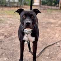 Thumbnail photo of Bill Nye the Love Guy #4