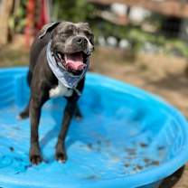 Thumbnail photo of Toodee Too Cute #3