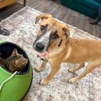 Thumbnail photo of Sadie Sue Loves You #2