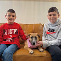 Thumbnail photo of Sadie Sue Loves You #4