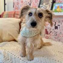 Thumbnail photo of Mister Marty Marvelous #1