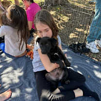 Thumbnail photo of Mister Purple Color #2