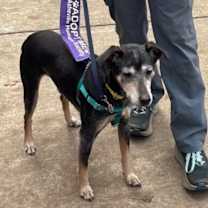 Thumbnail photo of Astro #3