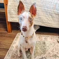 Thumbnail photo of Stevie Wonder #1