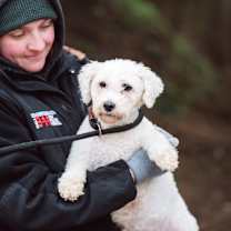 Thumbnail photo of Ester #3