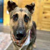 Thumbnail photo of Esta Calm in the Room #1