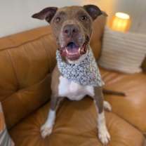 Thumbnail photo of Beatrice Bestie Boo #2