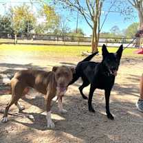 Thumbnail photo of Beatrice Bestie Boo #4