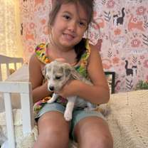 Thumbnail photo of Itzy K Pop #2