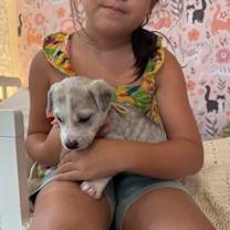 Thumbnail photo of Twice K Pop #2