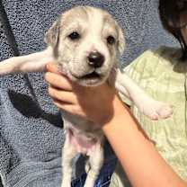 Thumbnail photo of Twice K Pop #4