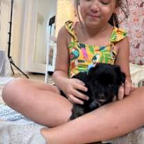 Thumbnail photo of Black Pink K Pop #2