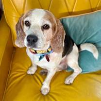 Thumbnail photo of Rookie Lucky #3