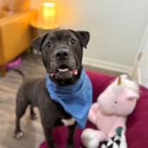 Thumbnail photo of Tom Jones #1