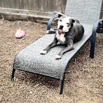 Thumbnail photo of Daisy Adventure Pal #4