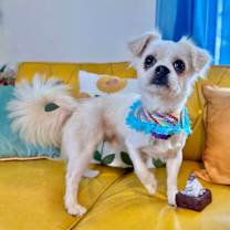 Thumbnail photo of Ricky Ricardo #1