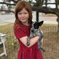 Thumbnail photo of Cranberry Thanksgiving #2