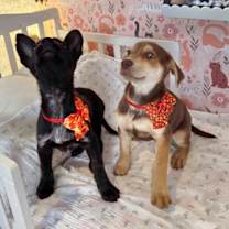 Thumbnail photo of Sam Slater #3