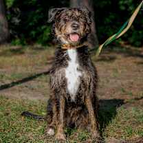 Thumbnail photo of Kika #1