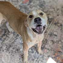 Thumbnail photo of Avery #1