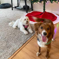 Thumbnail photo of Princess Jade #4