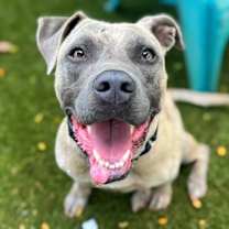 Thumbnail photo of Gumball #1