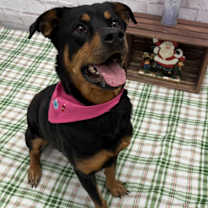 Thumbnail photo of Roxy Garfield #2