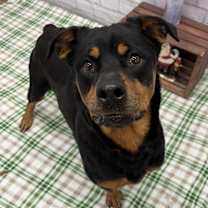 Thumbnail photo of Roxy Garfield #3