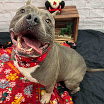 Thumbnail photo of Hrafn #1