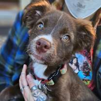 Thumbnail photo of Sally #1