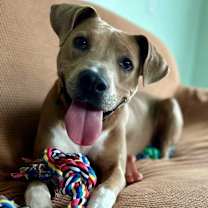 Thumbnail photo of Kinley #1