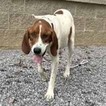 Thumbnail photo of Rowena #2