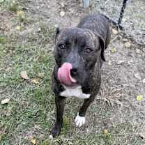 Thumbnail photo of Nana #4