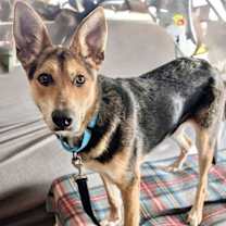 Thumbnail photo of River #2