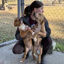 Thumbnail photo of Tessa #4