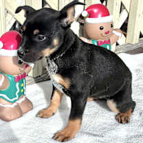 Thumbnail photo of Drinka #3