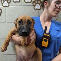 Thumbnail photo of David #2