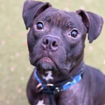 Thumbnail photo of Hermey (Radar 4) #1